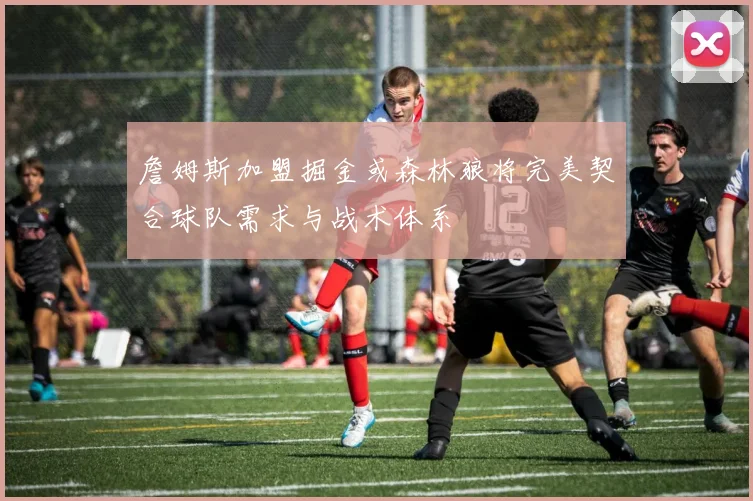 詹姆斯加盟掘金或森林狼将完美契合球队需求与战术体系
