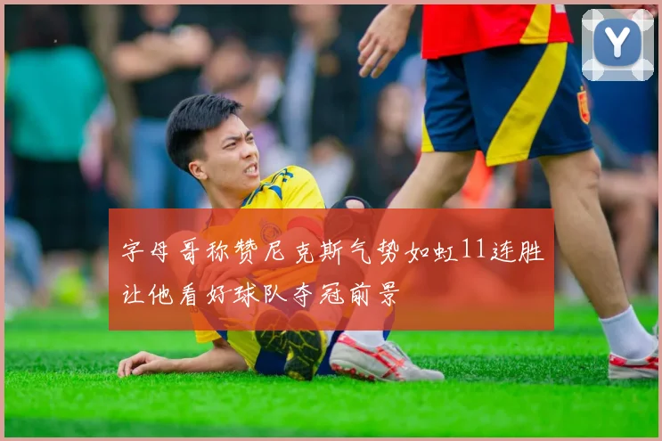 字母哥称赞尼克斯气势如虹11连胜让他看好球队夺冠前景