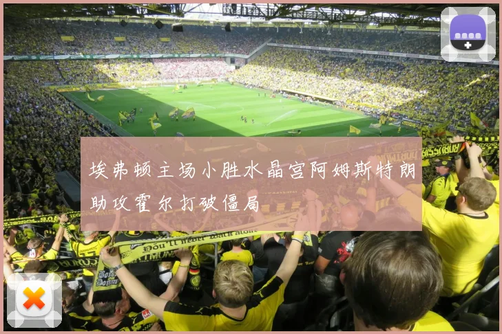 埃弗顿主场小胜水晶宫阿姆斯特朗助攻霍尔打破僵局