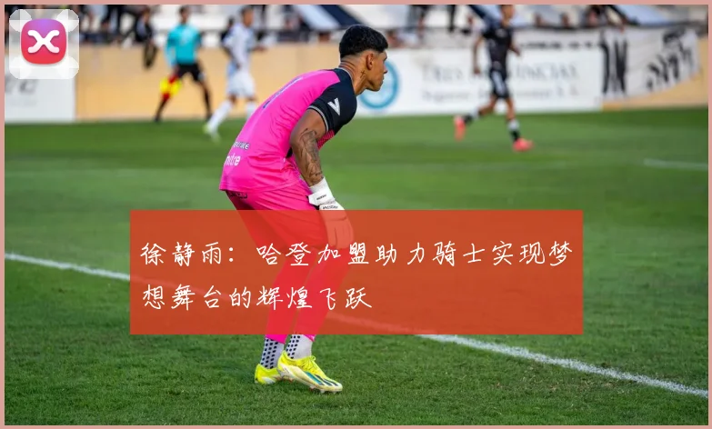 徐静雨：哈登加盟助力骑士实现梦想舞台的辉煌飞跃