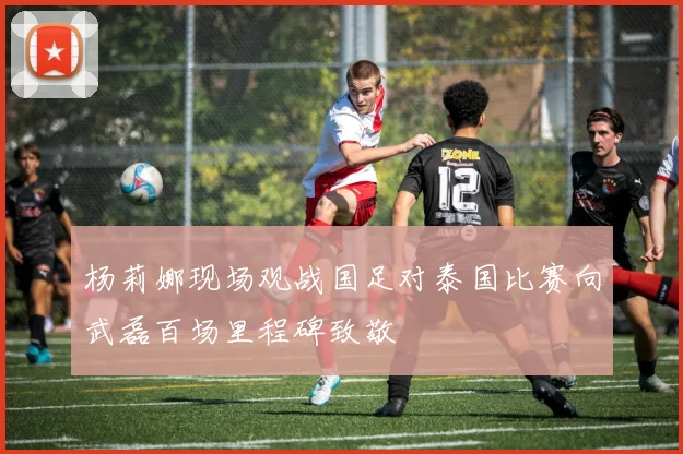杨莉娜现场观战国足对泰国比赛向武磊百场里程碑致敬