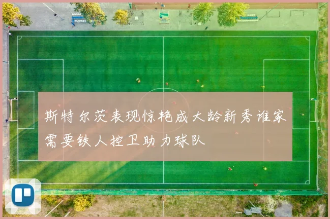 斯特尔茨表现惊艳成大龄新秀谁家需要铁人控卫助力球队